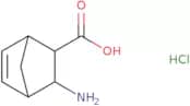 Exo-cis-3-aminobicyclo[2.2.1]hept-5-ene-2-carboxylic acid hydrochloride