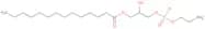 1-Myristoyl-2-Hydroxy-sn-Glyc-3-Phosphatidylethanolamine