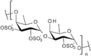 Fucoidan - Laminaria japonica