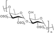 Fucoidan, fucus vesiculosus