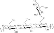 b-D-Glucan-from piptoporus betulinus