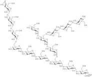 Glycogen - from rabbit liver