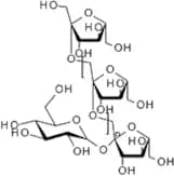 Inulin - from Jerusalem artichoke