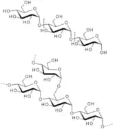Pregelatinized starch