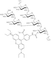 Rhodamine B isothiocyanate-dextran - Average MW 70,000