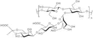 Xanthan gum