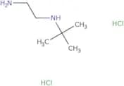 (2-aminoethyl)(tert-butyl)amine dihydrochloride