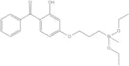 2-HYDROXY-4-(3-METHYLDIETHOXYSILYLPROPOXY)DIPHENYLKETONE, tech-90