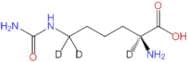 L-Homocitrulline-2,6,6-d3