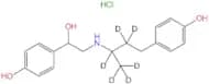 Ractopamine-d6 HCl(1-methyl-d3-propyl-1,2,2-d3)(mixture of diastereomers)