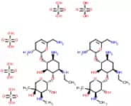 FIRST INTERNATIONAL STANDARD FOR NETILMICIN