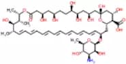 Amphotericin B for microbiological assay CRS