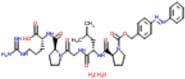Collagenase II