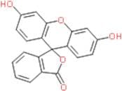 Fluorescein
