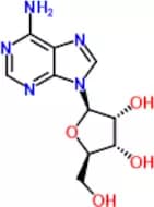 Adenosine