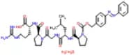 Collagenase II