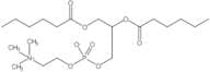 1,2-Dihexanoyl-sn-Glycero-3-Phosphatidylcholine