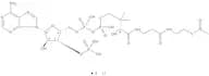 Acetyl Coenzyme A Li salt