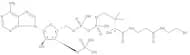 Coenzyme A free acid