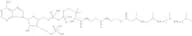 3,7,11,15-Tetramethylhexadecanoyl Coenzyme A (NH4)3 salt