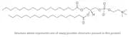 Phosphatidylcholine, PC (soybean, hydrogenated)