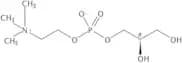 L-a-Glycerophosphorylcholine (soybean)