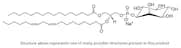 Phosphatidylinositol, PI (plant) Na+ salt