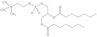 1,2-Diheptanoyl-sn-Glycero-3-Phosphatidylcholine