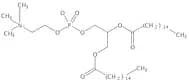 1,2-Dipalmitoyl-sn-Glycero-3-Phosphatidylcholine