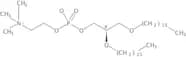 1,2-Di-O-Hexadecyl-sn-Glycero-3-Phosphatidylcholine