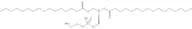 1,2-Dipalmitoyl-sn-Glycero-3-Phosphatidylethanolamine Na salt