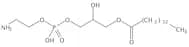 1-Myristoyl-2-Hydroxy-sn-Glyc-3-Phosphatidylethanolamine