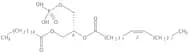 1-Palmitoyl-2-Oleoyl-sn-Glycero-3-Phosphatidic acid, Na salt