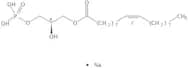 1-Oleoyl-Lyso-Phosphatidic acid Na salt
