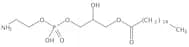 1-Stearoyl-2-Hydroxy-sn-Glyc-3-Phosphatidylethanolamine