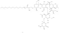 lyso-Monosialoganglioside GM1 (NH4+ salt)