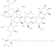 Fucosylated monosialoganglioside GM1 (NH4+)