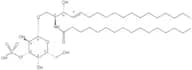C16 3'-sulfo Galactosylceramide (d18:1/16:0)