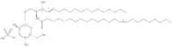 C24:1 3'-sulfo Galactosylceramide (d18:1/24:1(15Z))