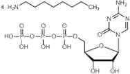 5-Azacytidine 5'-Triphosphate Tetraoctylamine