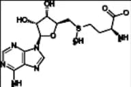 S-Adenosyl-L-Methionine