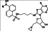 8-Amino[1''-(N''-dansyl)-4''-aminobutyl]-5'-(1-aziridinyl)-5'-deoxy adenosine