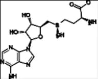 (R,S)-Adenosyl-L-Methionine Tri-1,4-Butanedisulfonate