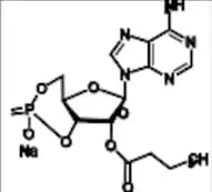 Adenosine Impurity (2'-O-MB-CAMP)