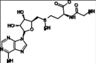 Adenosine Related Compound 1
