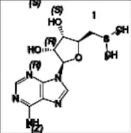 Adenosine Related Compound 2 Iodide