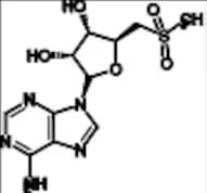 Adenosine Related Compound 4