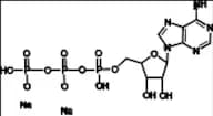 Adenosine 5'-Triphosphate as disodium salt