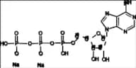 Adenosine 5'-Triphosphate-13C5 Disodium Salt