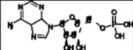 Adenosine Monophosphate-13C5